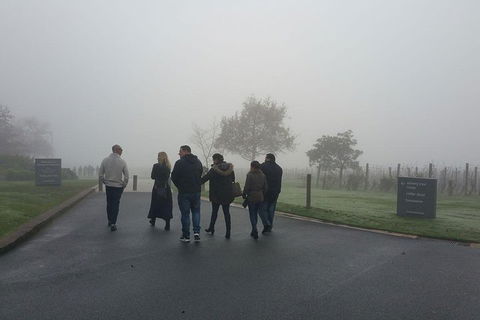 Chauffeur Driven Yarra Valley Group Wine Tour - Up To 7 - Accommodation Tasmania 4