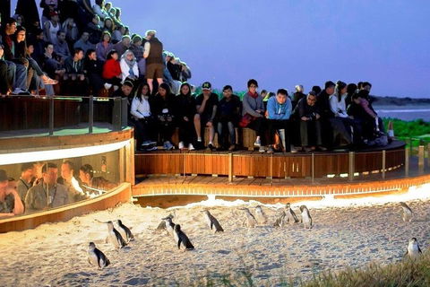Great Ocean Road & Phillip Island - 3 Days, 2 Nights - Accommodation Tasmania 0