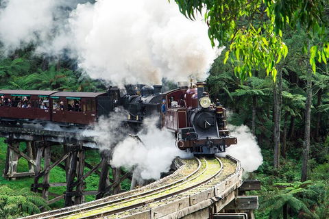 Puffing Billy And Healesville Sanctuary Scenic Tour - Accommodation Tasmania 1