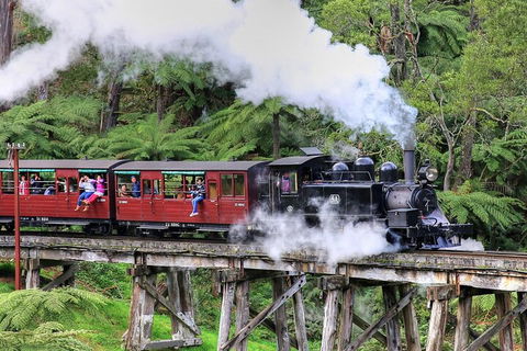 Puffing Billy And Healesville Sanctuary Scenic Tour - Accommodation Tasmania 2
