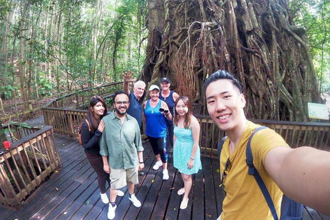 Barron Gorge And Kuranda National Park Half Day Rainforest And Waterfall 4WD Tour From Cairns - Accommodation Tasmania 5