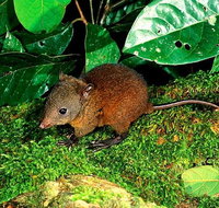 3-Day Small-Group Tour of North Queensland with Pick Up - Accommodation Tasmania