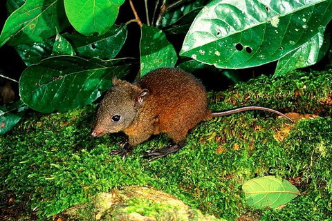 3-Day Small-Group Tour Of North Queensland With Pick Up - Accommodation Tasmania 0