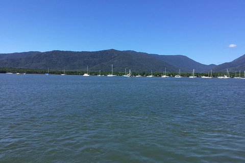 Cairns City Tour - Accommodation Tasmania 3