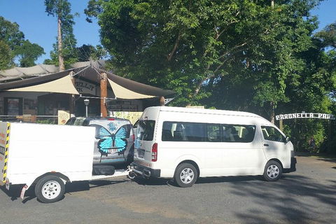 Airport Transfer To Or From Cairns Hotels For Up To 13 People - Accommodation Tasmania 4