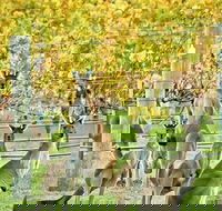 Margaret River Indulge and Discover Day Tour - Accommodation Tasmania