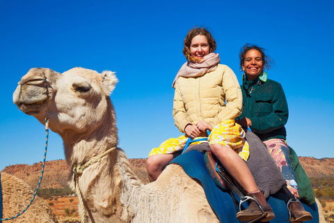 Alice Springs Camel Tour - Accommodation Tasmania 3