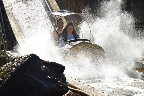 Theme Park Transfer From Brisbane - Accommodation Tasmania 1