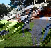 Smartphone  Camera Photography Basics - Accommodation Tasmania