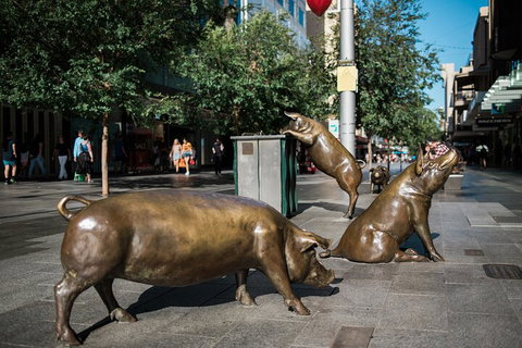 Guided Walking Tour In Adelaide - Accommodation Tasmania 4