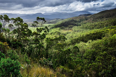 3-Day Tour To The Falls, Mountains, Lake & More Of West Coast Tasmania - Accommodation Tasmania 0