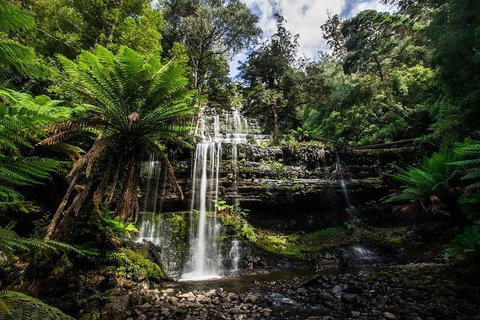 3-Day Tour To The Falls, Mountains, Lake & More Of West Coast Tasmania - Accommodation Tasmania 4