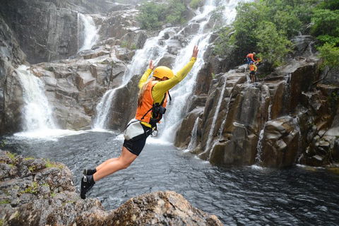 Behana Canyon Rainforest And Waterfall Experience - Accommodation Tasmania 3