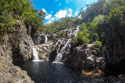 Behana Canyon Rainforest And Waterfall Experience - Accommodation Tasmania 5