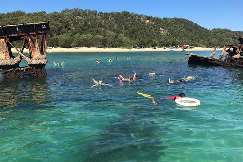 All Inclusive Dolphin And Tangalooma Wrecks Cruise - Accommodation Tasmania 0