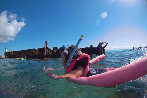 All Inclusive Dolphin And Tangalooma Wrecks Cruise - Accommodation Tasmania 2