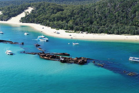All Inclusive Dolphin And Tangalooma Wrecks Cruise - Accommodation Tasmania 4