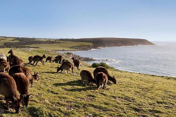 Accommodation Tasmania