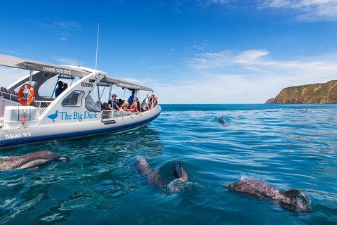 Victor Harbor And McLaren Vale Wine Region Day Tour - Accommodation Tasmania 1