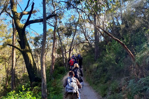 Self-Guided Waterfall Gully To Mount Lofty Hike From Adelaide - Accommodation Tasmania 1
