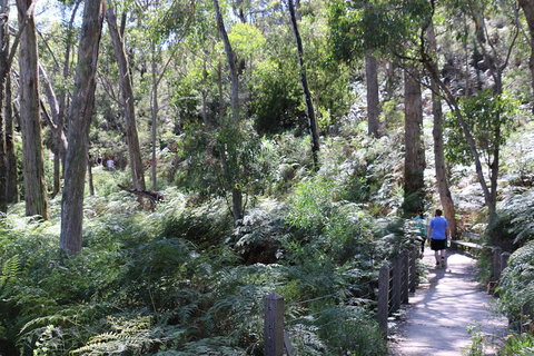 Self-Guided Waterfall Gully To Mount Lofty Hike From Adelaide - Accommodation Tasmania 2