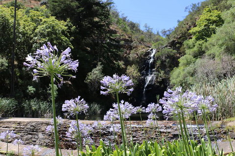 Self-Guided Waterfall Gully To Mount Lofty Hike From Adelaide - Accommodation Tasmania 3