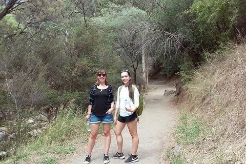 Self-Guided Waterfall Gully To Mount Lofty Hike From Adelaide - Accommodation Tasmania 4