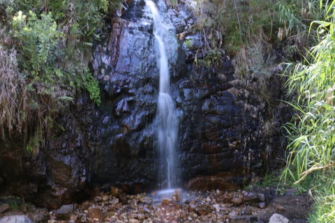 Self-Guided Waterfall Gully To Mount Lofty Hike From Adelaide - Accommodation Tasmania 5