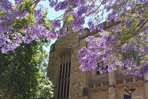 Cultural Caper Adelaide Walking Tour - Accommodation Tasmania 1