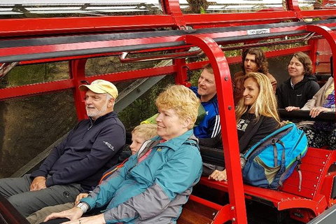 Blue Mountains Ultimate One-Day Tour - Accommodation Tasmania 0
