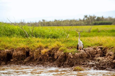 Darwin City Sights And Jumping Crocodile Cruise - Accommodation Tasmania 2