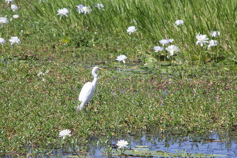 Darwin City Sights And Jumping Crocodile Cruise - Accommodation Tasmania 4
