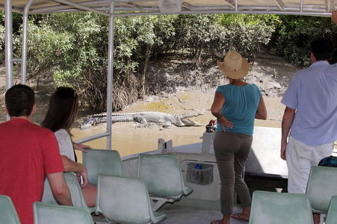 Whitsunday Crocodile Safari Including Lunch - Accommodation Tasmania 4