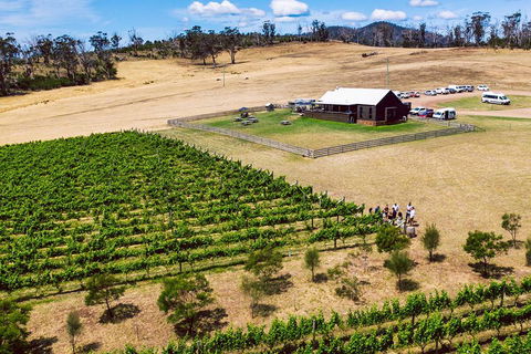 Tasmanian Wine Tour - Accommodation Tasmania 3