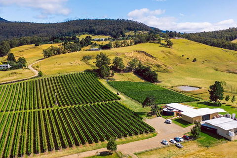 Tasmanian Wine Tour - Accommodation Tasmania 4