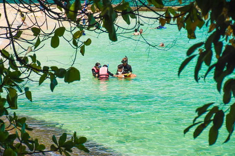 Green Island Day Trip From Cairns - Accommodation Tasmania 2
