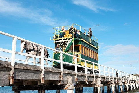 6 Days Adelaide All-Inclusive Touring Package - Accommodation Tasmania 2