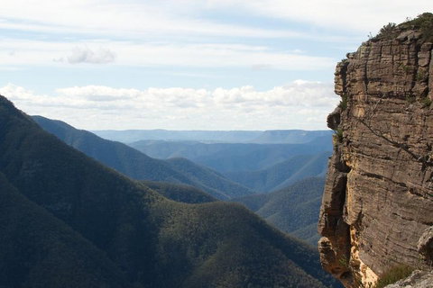 Inside The Greater Blue Mountains World Heritage - A Private Wildlife Safari Overnight - Accommodation Tasmania 4