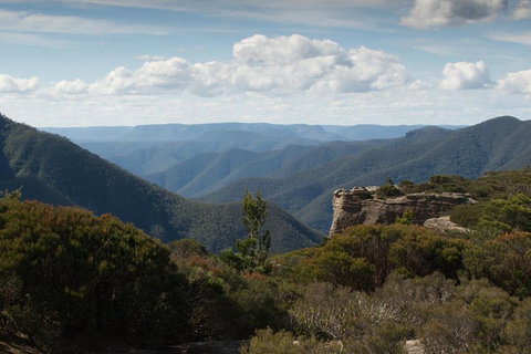 Inside The Greater Blue Mountains World Heritage - A Private Wildlife Safari Overnight - Accommodation Tasmania 5