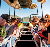 Airlie Beach Glass Bottom Boat Tour - Accommodation Tasmania