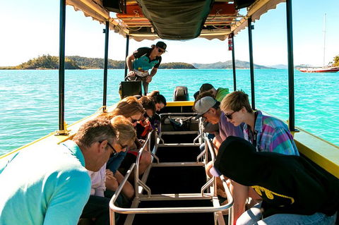 Airlie Beach Glass Bottom Boat Tour - Accommodation Tasmania 1
