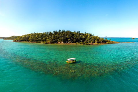 Airlie Beach Glass Bottom Boat Tour - Accommodation Tasmania 3