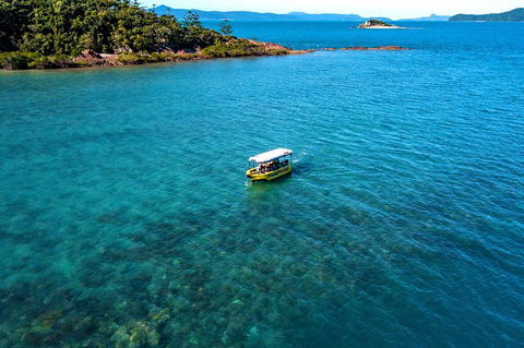 Airlie Beach Glass Bottom Boat Tour - Accommodation Tasmania 4