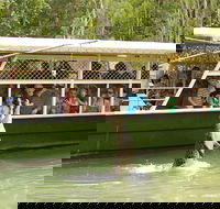 Hartley's Crocodile Adventure Half-Day Tour - Accommodation Tasmania