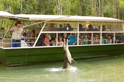 Hartley's Crocodile Adventure Half-Day Tour - Accommodation Tasmania 0