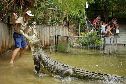 Hartley's Crocodile Adventure Half-Day Tour - Accommodation Tasmania 2