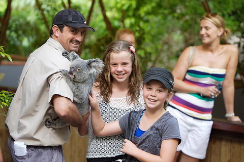 Hartley's Crocodile Adventure Half-Day Tour - Accommodation Tasmania 3
