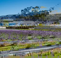 Private Hobart Discover South East Food and Scenic Tour - Accommodation Tasmania