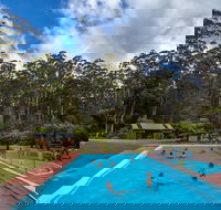 Tahune Airwalk Active Day Trip from Hobart Including Hastings Caves - Accommodation Tasmania