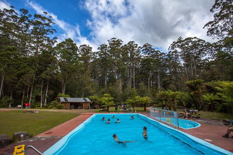 Tahune Airwalk Active Day Trip From Hobart Including Hastings Caves - Accommodation Tasmania 0